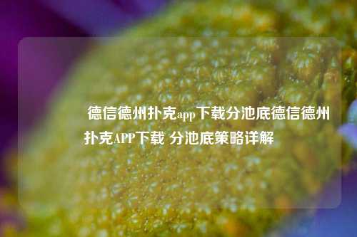 🥉德信德州扑克app下载分池底德信德州扑克APP下载 分池底策略详解