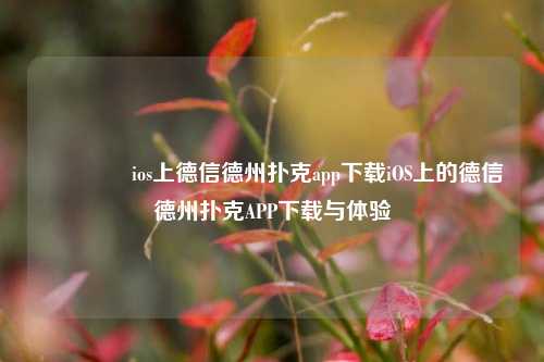 👍ios上德信德州扑克app下载iOS上的德信德州扑克APP下载与体验