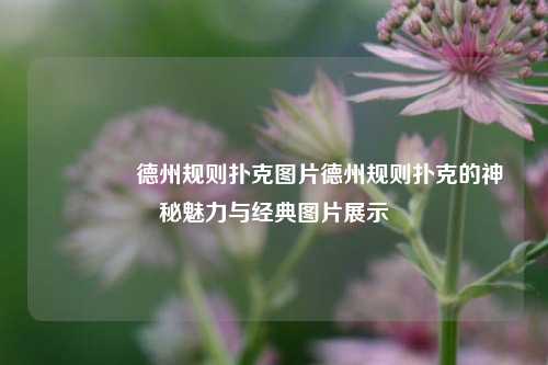 🥉德州规则扑克图片德州规则扑克的神秘魅力与经典图片展示
