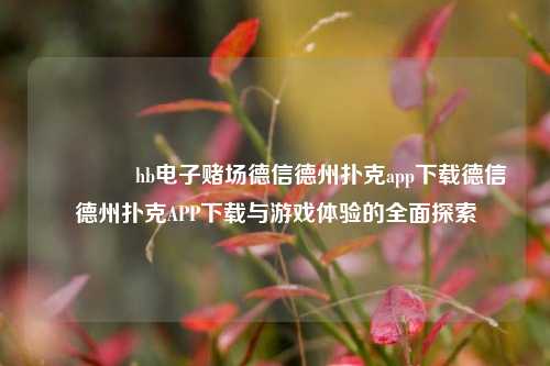 👍hb电子赌场德信德州扑克app下载德信德州扑克APP下载与游戏体验的全面探索