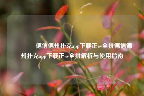 👍德信德州扑克app下载正ev全拼德信德州扑克app下载正ev全拼解析与使用指南