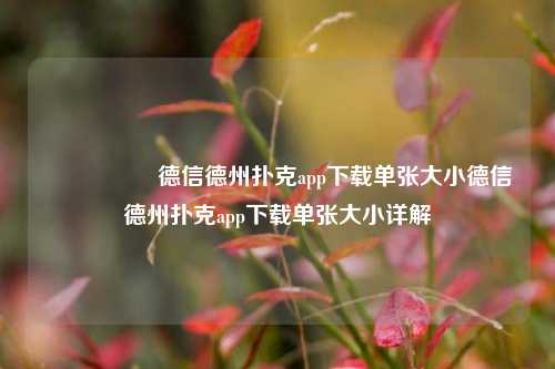 🎖️德信德州扑克app下载单张大小德信德州扑克app下载单张大小详解