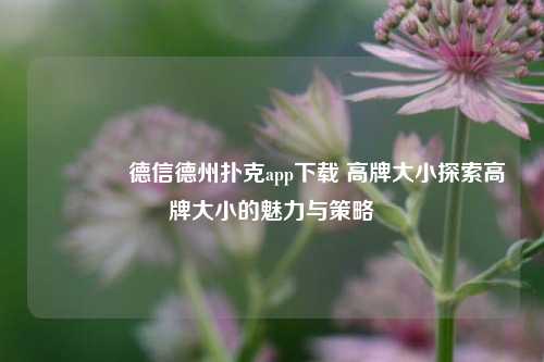 🌈德信德州扑克app下载 高牌大小探索高牌大小的魅力与策略