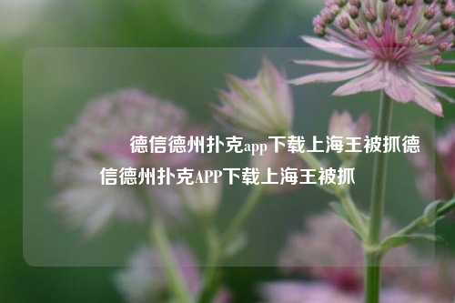 🎖️德信德州扑克app下载上海王被抓德信德州扑克APP下载上海王被抓