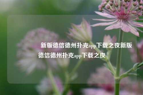 🎖️新版德信德州扑克app下载之夜新版德信德州扑克app下载之夜