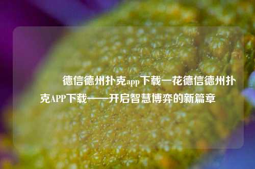 🥈德信德州扑克app下载一花德信德州扑克APP下载——开启智慧博弈的新篇章