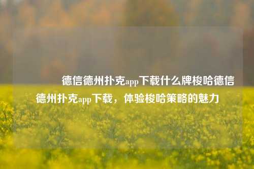 🏅德信德州扑克app下载什么牌梭哈德信德州扑克app下载，体验梭哈策略的魅力
