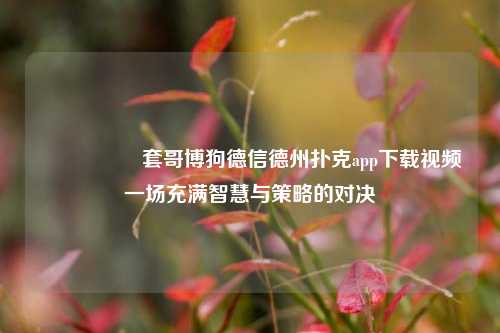 🎖️套哥博狗德信德州扑克app下载视频一场充满智慧与策略的对决