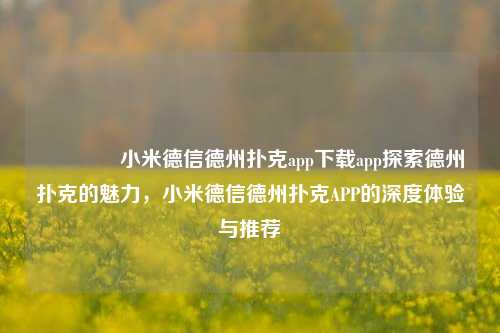 👉小米德信德州扑克app下载app探索德州扑克的魅力，小米德信德州扑克APP的深度体验与推荐