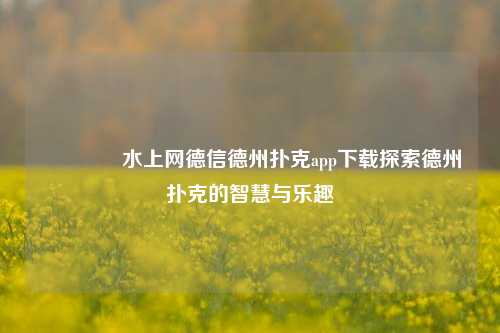 🏆水上网德信德州扑克app下载探索德州扑克的智慧与乐趣