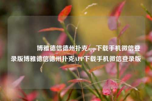 🥈博雅德信德州扑克app下载手机微信登录版博雅德信德州扑克APP下载手机微信登录版