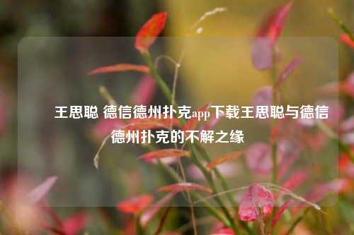✌️王思聪 德信德州扑克app下载王思聪与德信德州扑克的不解之缘