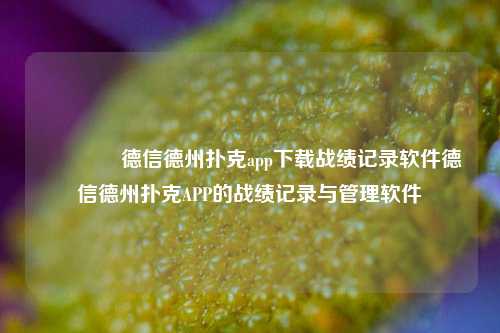 🥇德信德州扑克app下载战绩记录软件德信德州扑克APP的战绩记录与管理软件