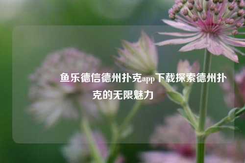 🥉鱼乐德信德州扑克app下载探索德州扑克的无限魅力