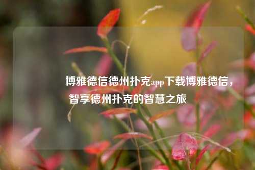 🥇博雅德信德州扑克app下载博雅德信，智享德州扑克的智慧之旅