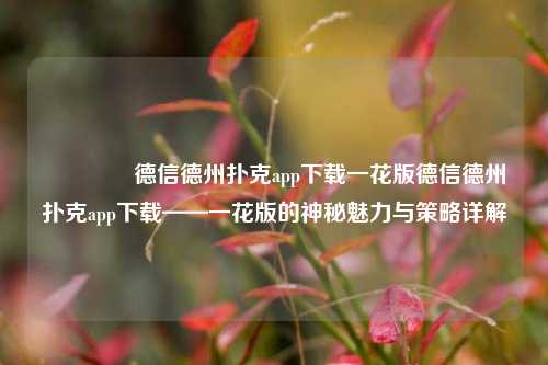 🏅德信德州扑克app下载一花版德信德州扑克app下载——一花版的神秘魅力与策略详解