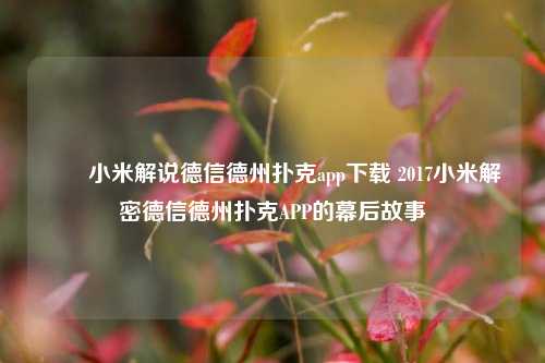 ✌️小米解说德信德州扑克app下载 2017小米解密德信德州扑克APP的幕后故事