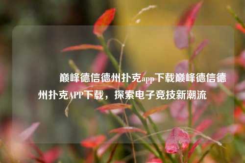 👈巅峰德信德州扑克app下载巅峰德信德州扑克APP下载，探索电子竞技新潮流