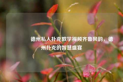 🏅德州私人扑克教学视频齐鲁风韵，德州扑克的智慧盛宴