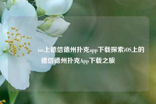 👈ios上德信德州扑克app下载探索iOS上的德信德州扑克App下载之旅