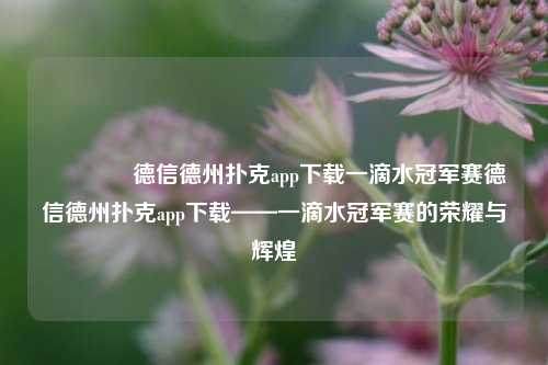 👍德信德州扑克app下载一滴水冠军赛德信德州扑克app下载——一滴水冠军赛的荣耀与辉煌