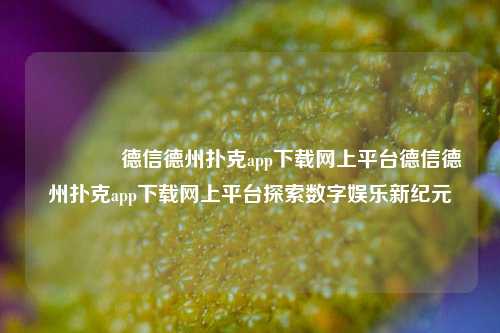 🥉德信德州扑克app下载网上平台德信德州扑克app下载网上平台探索数字娱乐新纪元