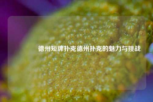 🥈德州短牌扑克德州扑克的魅力与挑战