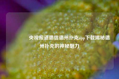🥈央视报道德信德州扑克app下载揭秘德州扑克的神秘魅力