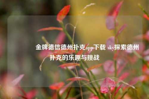 🏆金牌德信德州扑克app下载 sky探索德州扑克的乐趣与挑战