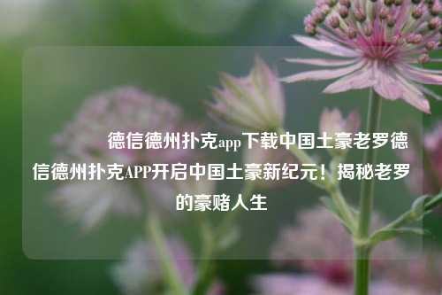🏆德信德州扑克app下载中国土豪老罗德信德州扑克APP开启中国土豪新纪元！揭秘老罗的豪赌人生