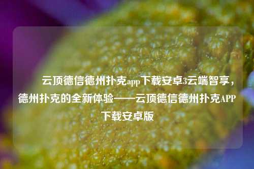 ✌️云顶德信德州扑克app下载安卓3云端智享，德州扑克的全新体验——云顶德信德州扑克APP下载安卓版