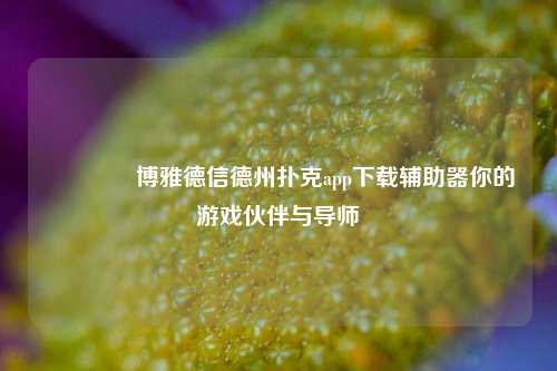 🥈博雅德信德州扑克app下载辅助器你的游戏伙伴与导师