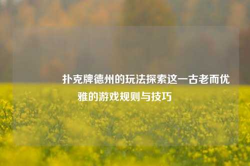🌈扑克牌德州的玩法探索这一古老而优雅的游戏规则与技巧