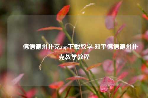 ✌️德信德州扑克app下载教学 知乎德信德州扑克教学教程