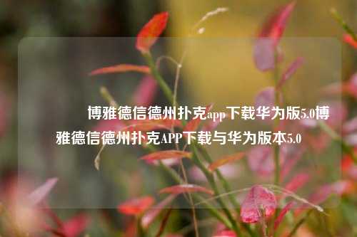 🏅博雅德信德州扑克app下载华为版5.0博雅德信德州扑克APP下载与华为版本5.0
