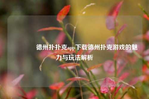 👍德州扑扑克app下载德州扑克游戏的魅力与玩法解析