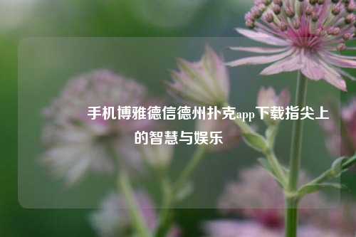 🌈手机博雅德信德州扑克app下载指尖上的智慧与娱乐