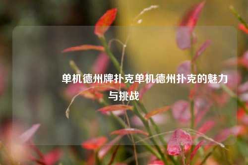 🏅单机德州牌扑克单机德州扑克的魅力与挑战