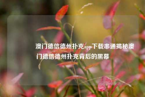 🥉澳门德信德州扑克app下载串通揭秘澳门德信德州扑克背后的黑幕
