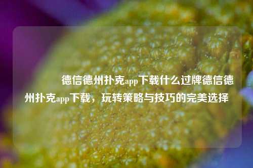 🥇德信德州扑克app下载什么过牌德信德州扑克app下载，玩转策略与技巧的完美选择