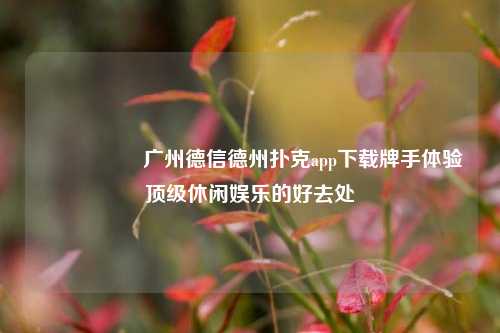 🎖️广州德信德州扑克app下载牌手体验顶级休闲娱乐的好去处