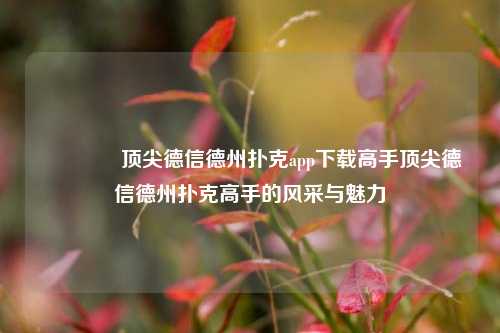 👍顶尖德信德州扑克app下载高手顶尖德信德州扑克高手的风采与魅力