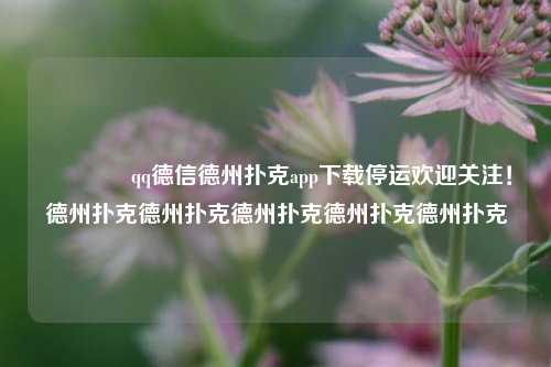 🌈qq德信德州扑克app下载停运欢迎关注！德州扑克德州扑克德州扑克德州扑克德州扑克
