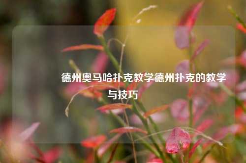👈德州奥马哈扑克教学德州扑克的教学与技巧