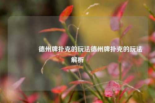 🥈德州牌扑克的玩法德州牌扑克的玩法解析