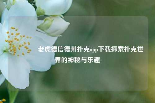 🥉老虎德信德州扑克app下载探索扑克世界的神秘与乐趣