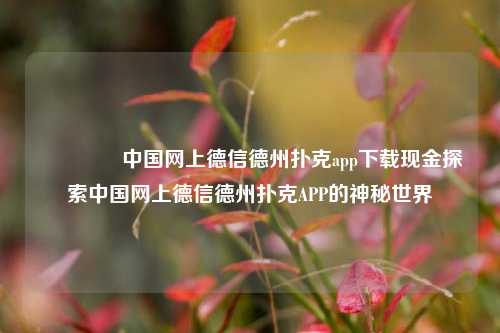 🥈中国网上德信德州扑克app下载现金探索中国网上德信德州扑克APP的神秘世界