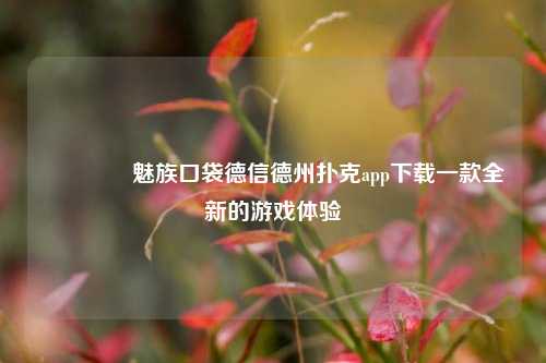 👈魅族口袋德信德州扑克app下载一款全新的游戏体验