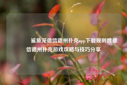 🥇鲨鱼笼德信德州扑克app下载规则魏德信德州扑克游戏攻略与技巧分享