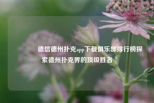 👉德信德州扑克app下载俱乐部排行榜探索德州扑克界的顶级胜者